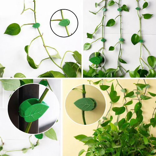 All-in-One Home Gardening Starter Kit – Prastha Lifestyles